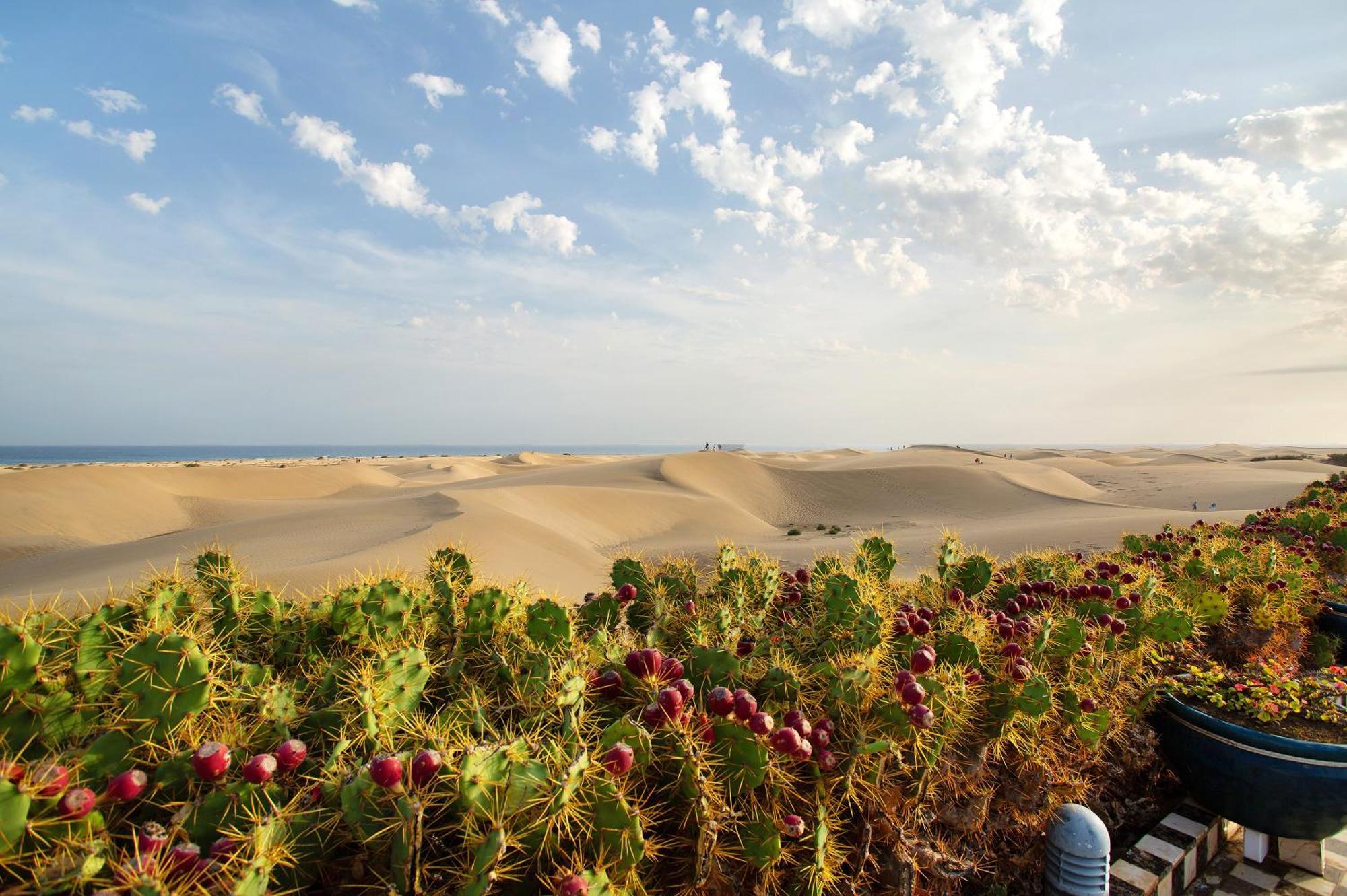 Villa Dunas Maspalomas Maspalomas  Eksteriør bilde